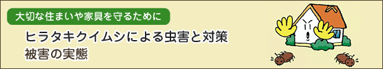 ヒラタキクイムシによる虫害と対策 被害の対策